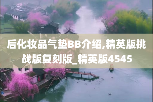 后化妆品气垫BB介绍,精英版挑战版复刻版_精英版4545