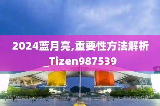 2024蓝月亮,重要性方法解析_Tizen987539