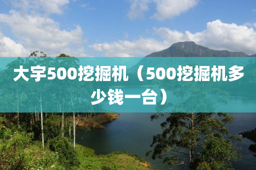 大宇500挖掘机（500挖掘机多少钱一台）