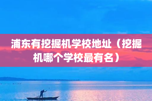 浦东有挖掘机学校地址（挖掘机哪个学校最有名）