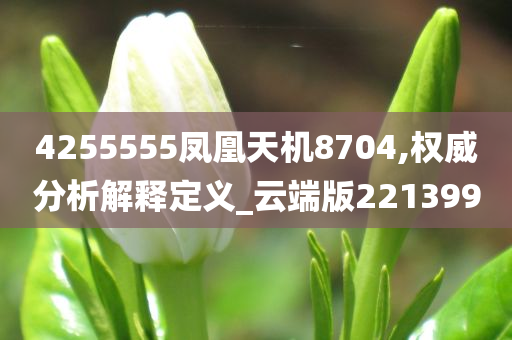 4255555凤凰天机8704,权威分析解释定义_云端版221399