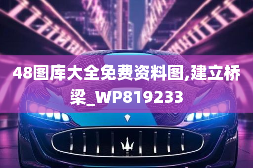 48图库大全免费资料图,建立桥梁_WP819233