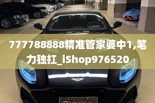 777788888精准管家婆中1,笔力独扛_iShop976520