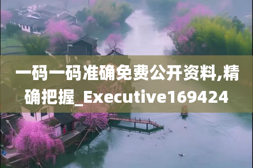 一码一码准确免费公开资料,精确把握_Executive169424