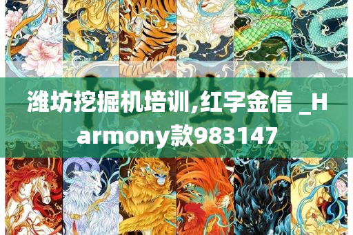 潍坊挖掘机培训,红字金信 _Harmony款983147