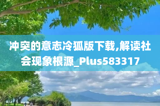 冲突的意志冷狐版下载,解读社会现象根源_Plus583317