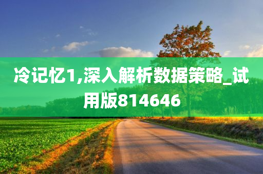 冷记忆1,深入解析数据策略_试用版814646