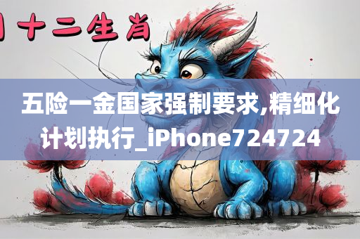 五险一金国家强制要求,精细化计划执行_iPhone724724