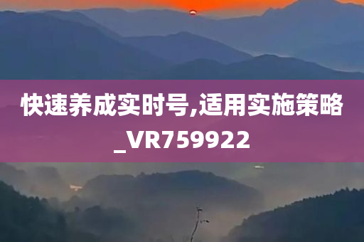 快速养成实时号,适用实施策略_VR759922