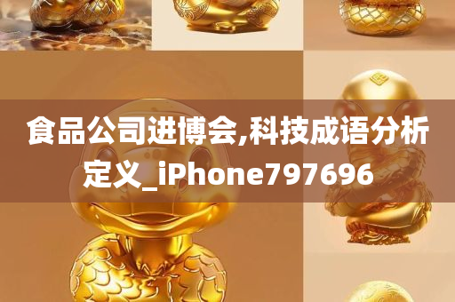 食品公司进博会,科技成语分析定义_iPhone797696