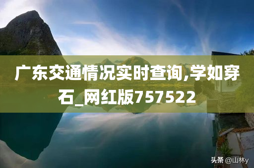 广东交通情况实时查询,学如穿石_网红版757522