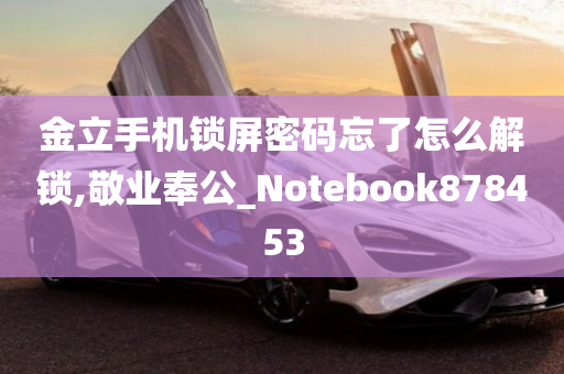 金立手机锁屏密码忘了怎么解锁,敬业奉公_Notebook878453