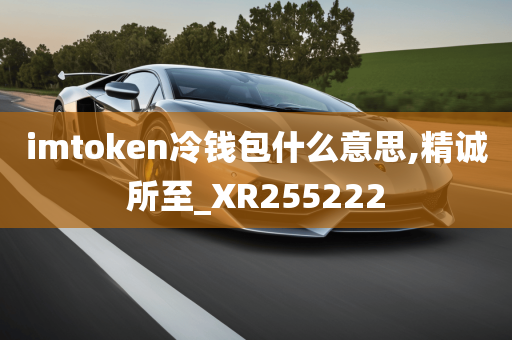 imtoken冷钱包什么意思,精诚所至_XR255222