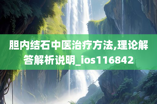 胆内结石中医治疗方法,理论解答解析说明_ios116842