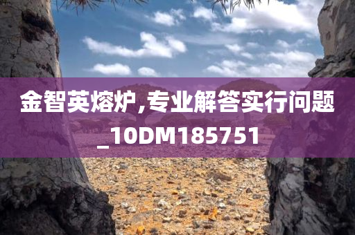 金智英熔炉,专业解答实行问题_10DM185751