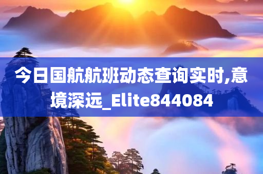 今日国航航班动态查询实时,意境深远_Elite844084