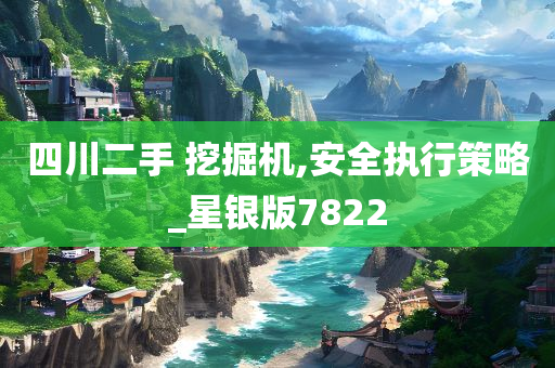 四川二手 挖掘机,安全执行策略_星银版7822