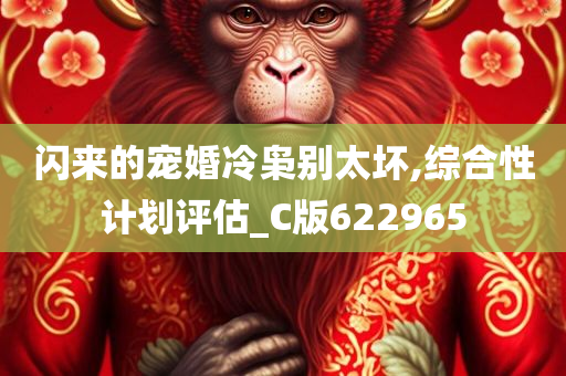 闪来的宠婚冷枭别太坏,综合性计划评估_C版622965