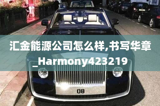 汇金能源公司怎么样,书写华章_Harmony423219