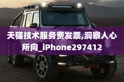 天猫技术服务费发票,洞察人心所向_iPhone297412