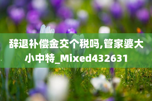 辞退补偿金交个税吗,管家婆大小中特_Mixed432631