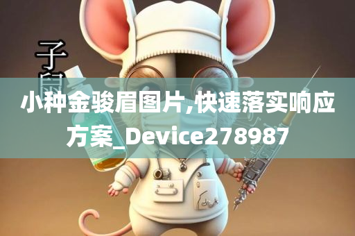 小种金骏眉图片,快速落实响应方案_Device278987