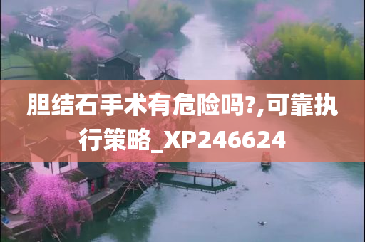 胆结石手术有危险吗?,可靠执行策略_XP246624