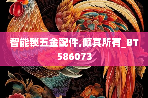 智能锁五金配件,倾其所有_BT586073