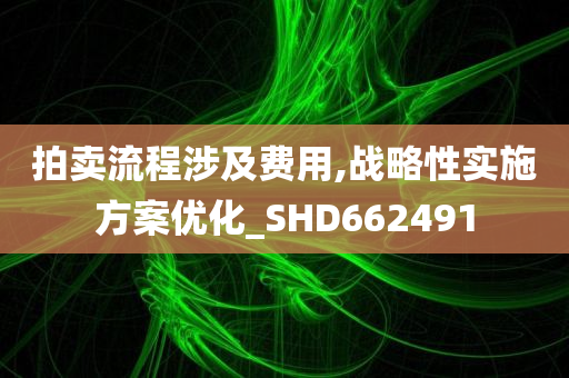 拍卖流程涉及费用,战略性实施方案优化_SHD662491