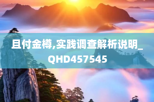 且付金樽,实践调查解析说明_QHD457545