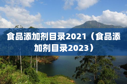 食品添加剂目录2021（食品添加剂目录2023）