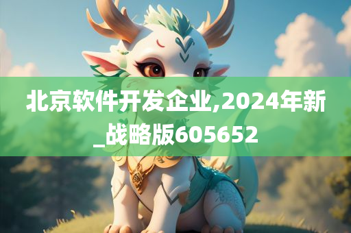 北京软件开发企业,2024年新_战略版605652