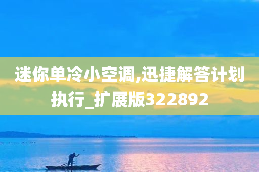 迷你单冷小空调,迅捷解答计划执行_扩展版322892