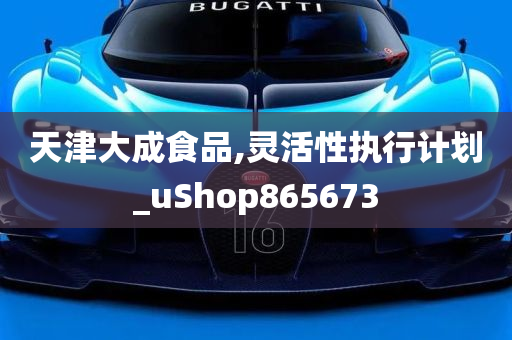 天津大成食品,灵活性执行计划_uShop865673