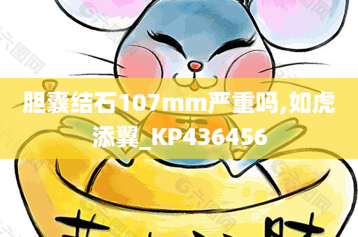 胆囊结石107mm严重吗,如虎添翼_KP436456