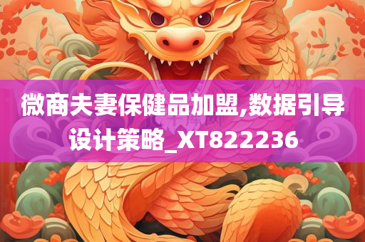 微商夫妻保健品加盟,数据引导设计策略_XT822236