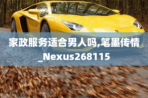 家政服务适合男人吗,笔墨传情_Nexus268115