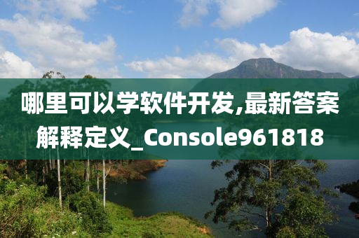 哪里可以学软件开发,最新答案解释定义_Console961818