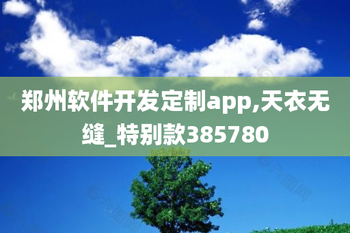 郑州软件开发定制app,天衣无缝_特别款385780