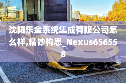 沈阳乐金系统集成有限公司怎么样,精妙构思_Nexus656558