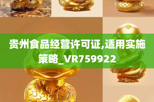 贵州食品经营许可证,适用实施策略_VR759922