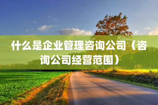 什么是企业管理咨询公司（咨询公司经营范围）