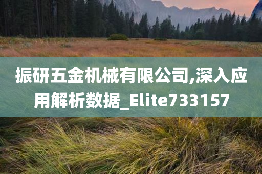 振研五金机械有限公司,深入应用解析数据_Elite733157