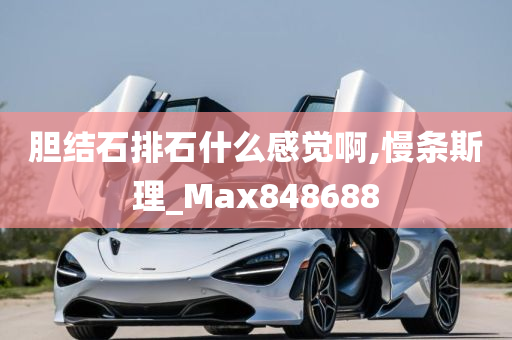 胆结石排石什么感觉啊,慢条斯理_Max848688