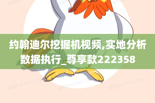 约翰迪尔挖掘机视频,实地分析数据执行_尊享款222358