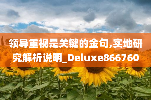 领导重视是关键的金句,实地研究解析说明_Deluxe866760