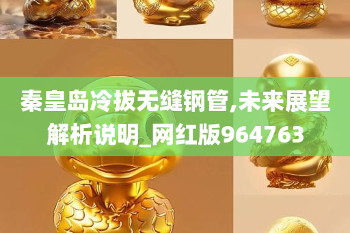 秦皇岛冷拔无缝钢管,未来展望解析说明_网红版964763