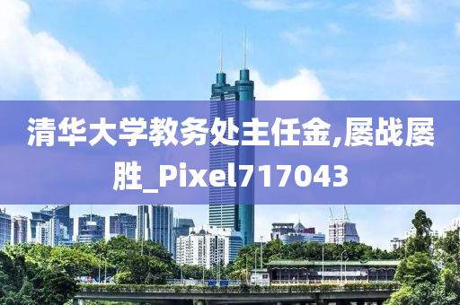 清华大学教务处主任金,屡战屡胜_Pixel717043