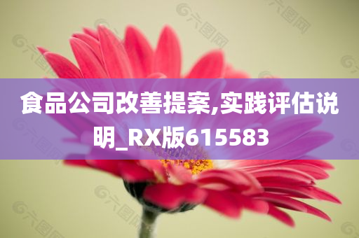 食品公司改善提案,实践评估说明_RX版615583