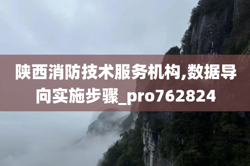 陕西消防技术服务机构,数据导向实施步骤_pro762824